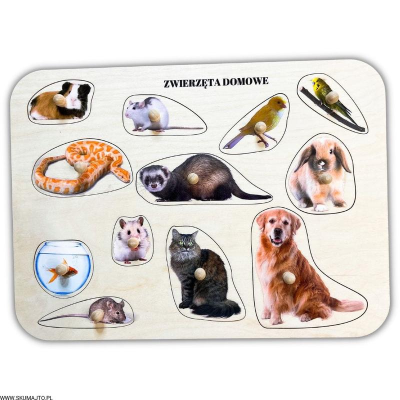 Zwierzęta do małego mieszkania