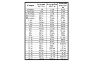 Jak 4 lata psa przekładają się na wiek człowieka?