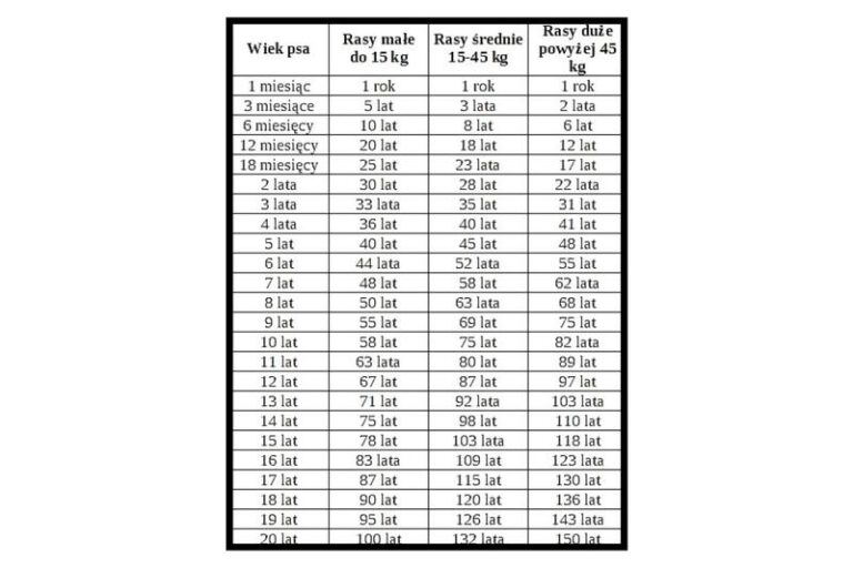 Jak 4 lata psa przekładają się na wiek człowieka?