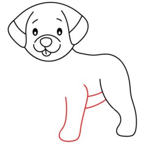 Jak narysować psa – prosty przewodnik dla miłośników piesków