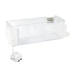 Jak skutecznie umyć akwarium i zadbać o jego czystość?