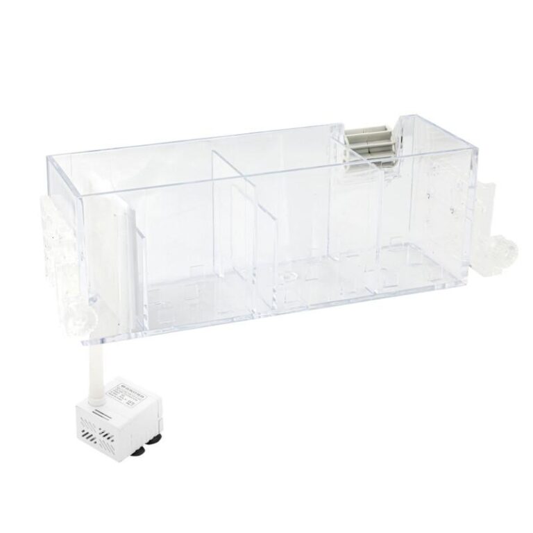 Jak skutecznie umyć akwarium i zadbać o jego czystość?