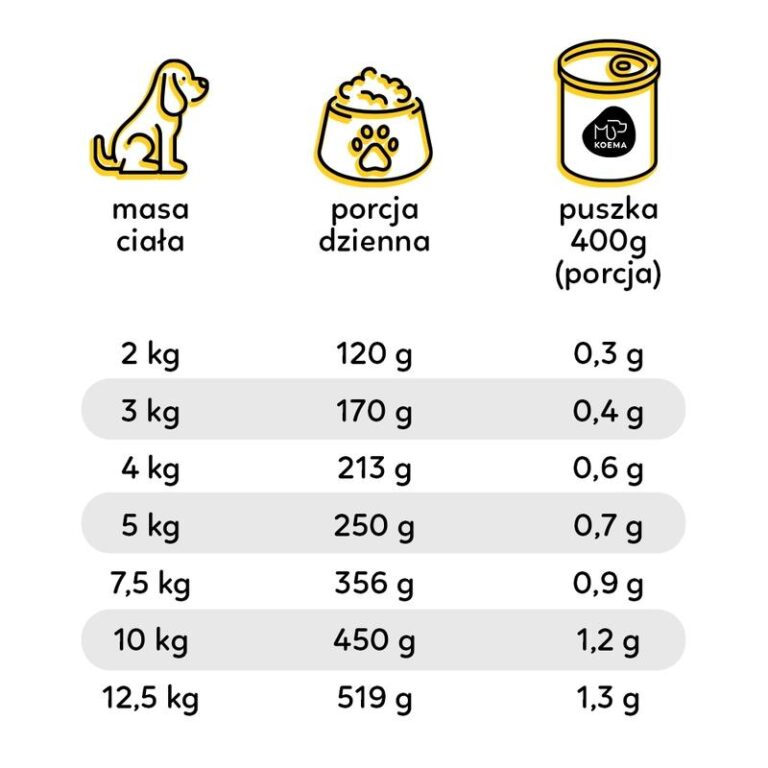 Jak wygląda porcja 150 g karmy dla psa? Praktyczny przewodnik dla właścicieli zwierząt
