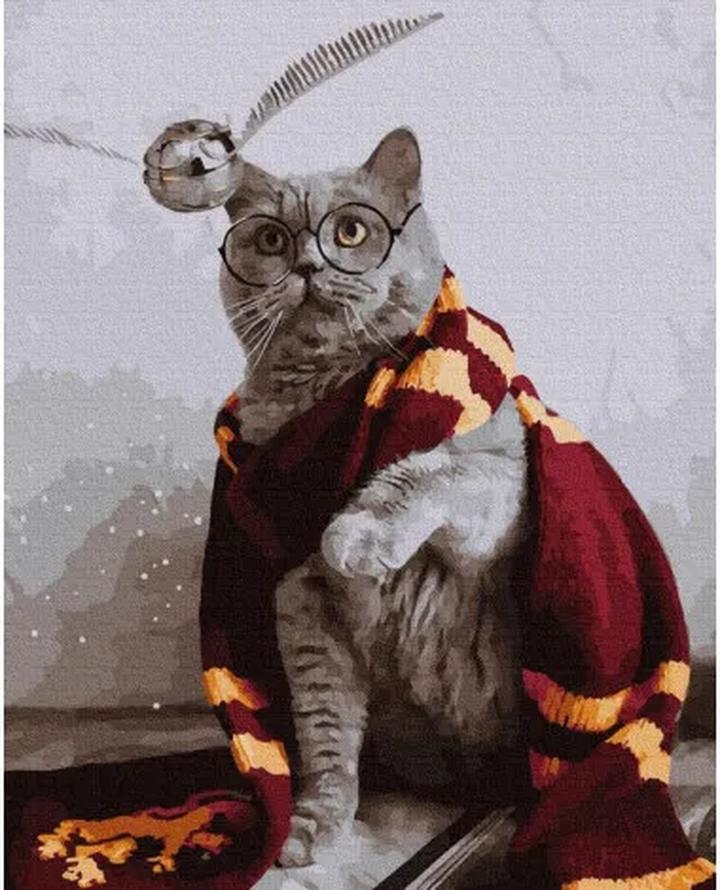 Magiczny kot, który sra tęczą – fascynująca historia z życia zwierzaków