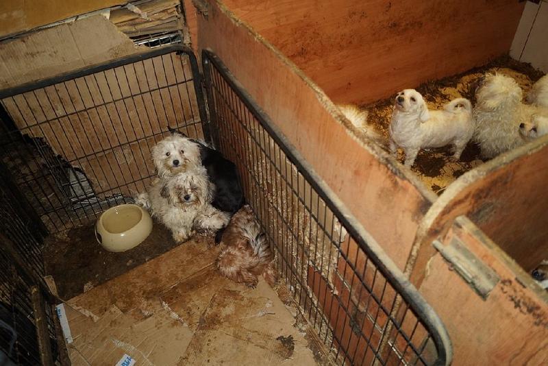 Formalności prawne i rejestracja stowarzyszenia