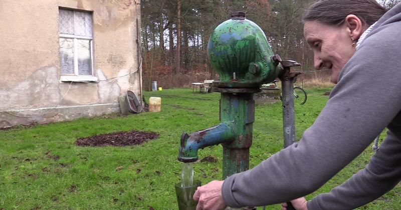 Gdzie kupić kapustę kiszoną