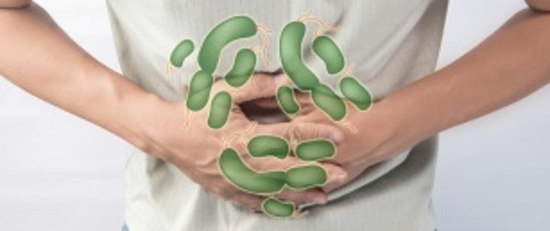 Pierwsza pomoc dla psa