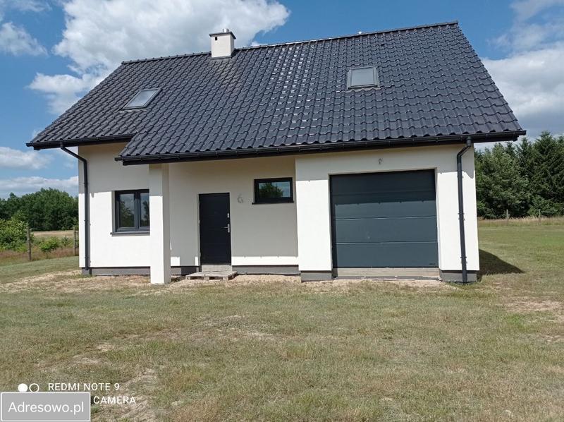 Przewodnik zakupowy kapusta kiszona