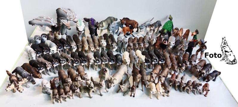 Psy przypominające wilki