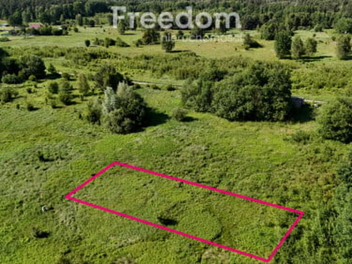 Tradycja kiszenia kapusty