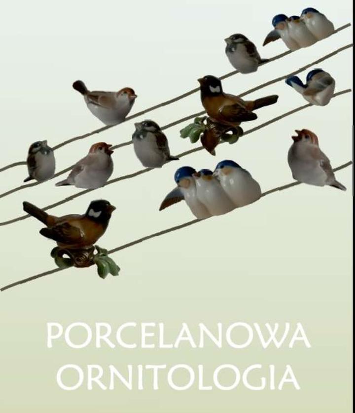 Trasy wędrówek ptaków