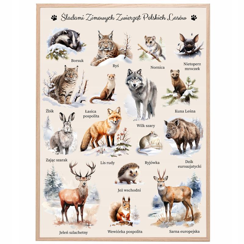 Wpływ zmian klimatycznych na adaptacje