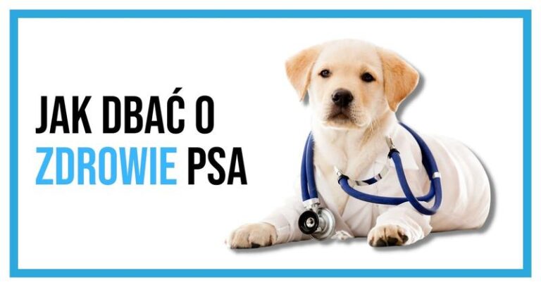 Co może oznaczać, gdy pies robi rzadkie kupy?