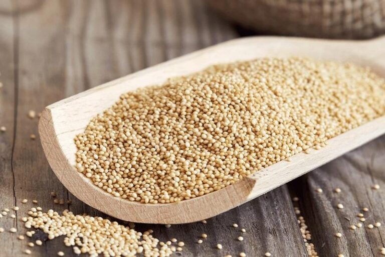 Czy Twój pupil może jeść kaszę? Odpowiadamy na pytania o trawienie psów!