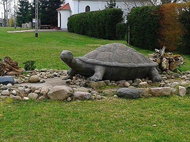 Gdzie kupić kapustę kiszoną od Żółwia Błoć? Odkryj najlepsze miejsca!