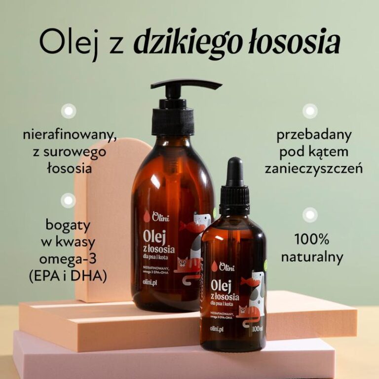 Jak skutecznie wprowadzić olej z łososia do diety psa?