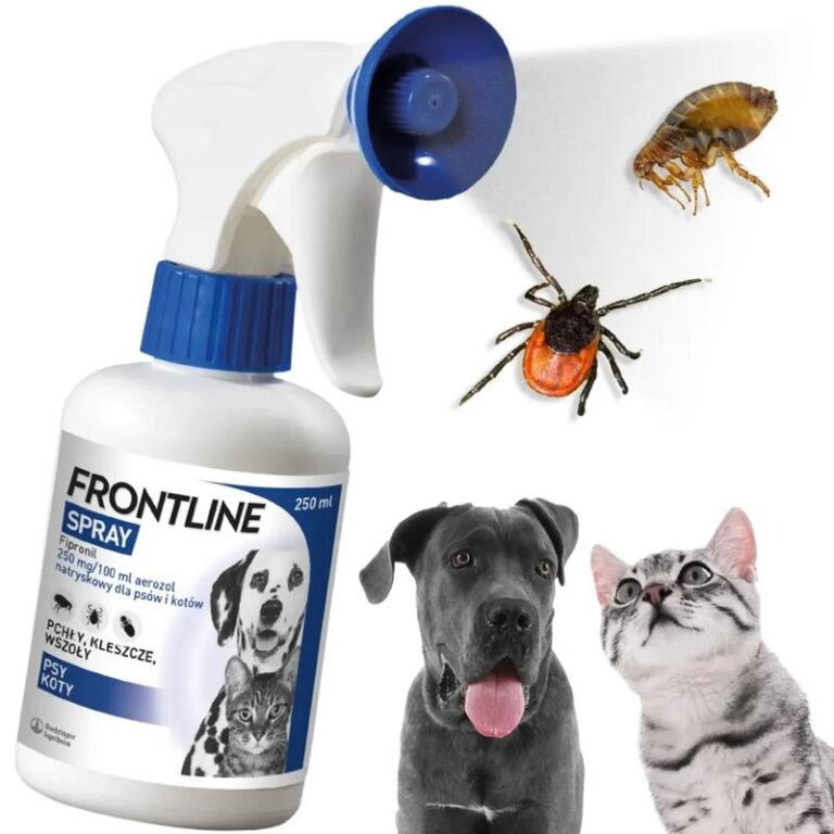 Jakie zagrożenia niesie kleszcz u psa? Sprawdź, co warto wiedzieć