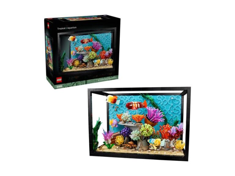 Optymalne nawyki: jak często zmieniać wodę w akwarium 25l, aby zapewnić zdrowie rybom?