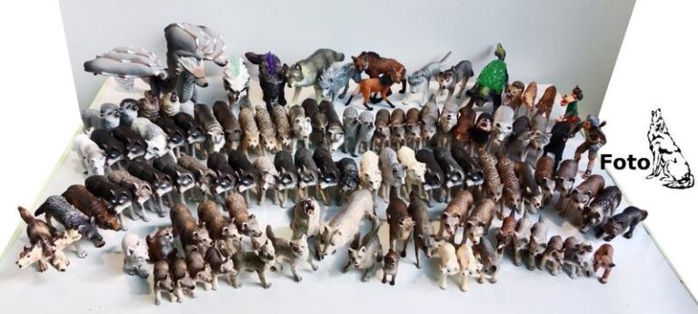 Psy, które najbardziej przypominają wilki – odkryj ich tajemnice