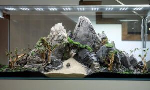 Sekrety udanego projektowania akwarium – wskazówki dla każdego akwarysty