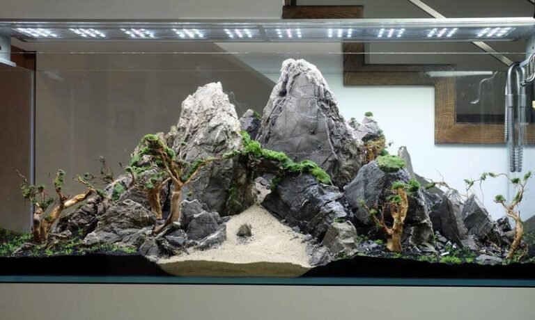 Sekrety udanego projektowania akwarium – wskazówki dla każdego akwarysty