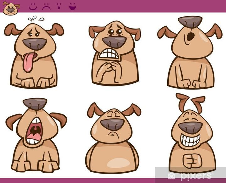 Skuteczne metody na rozładowanie emocji u psa w domowym zaciszu