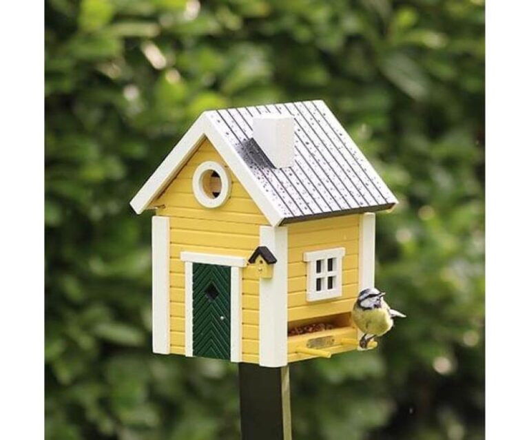 Zrób to sam: praktyczny przewodnik, jak stworzyć karmnik dla ptaków na balkon