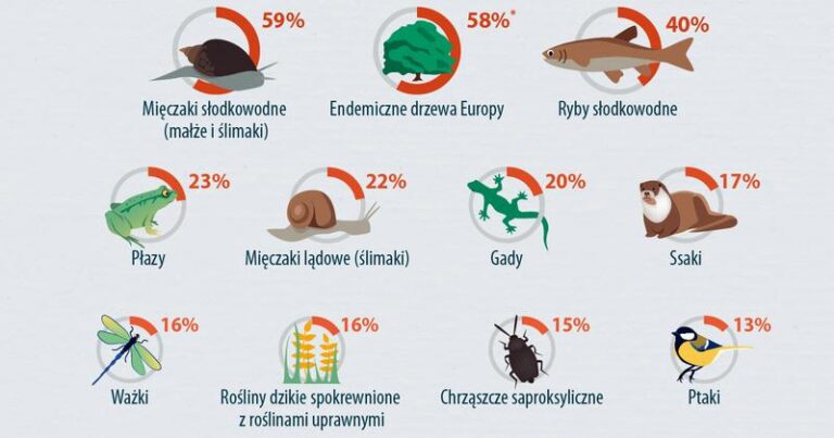 Zwierzęta, które mogą wyginąć: czy jeszcze możemy je uratować?