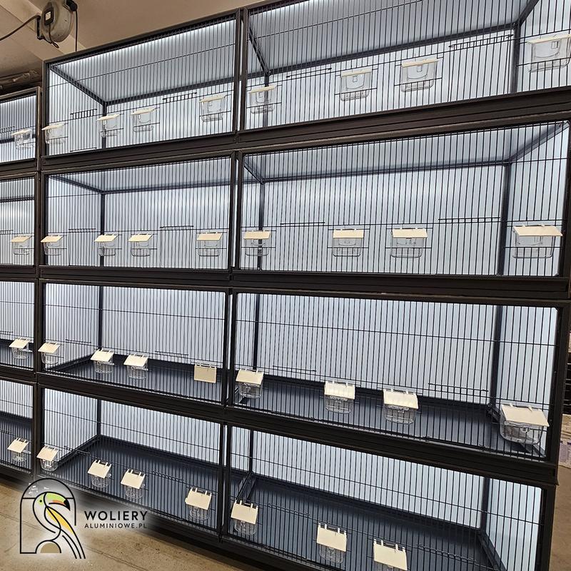 Dekoracja regału dla ptaków