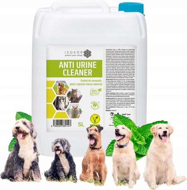 Naturalne metody odświeżania oddechu