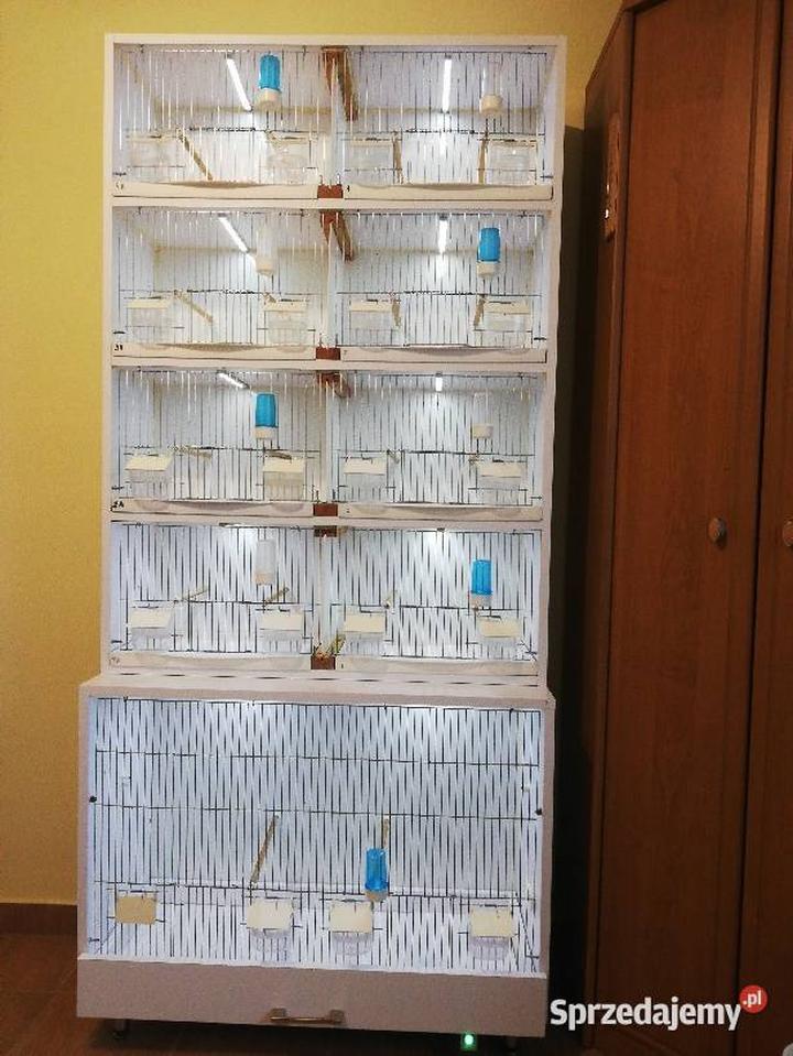 Regał dla kanarków