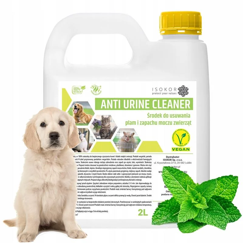 Skuteczne sposoby na to, jak usunąć smród z pyska psa