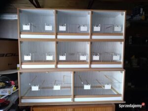 Twój wymarzony regał dla kanarków – jak go stworzyć krok po kroku