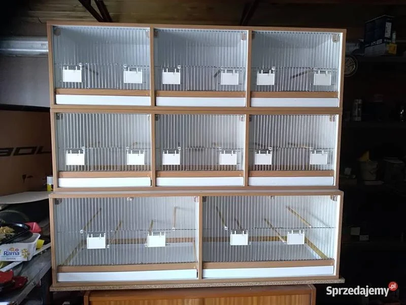 Twój wymarzony regał dla kanarków – jak go stworzyć krok po kroku